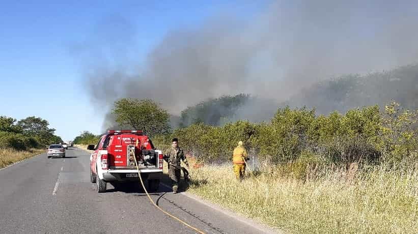 Los bomberos combatieron un enorme incendio forestal