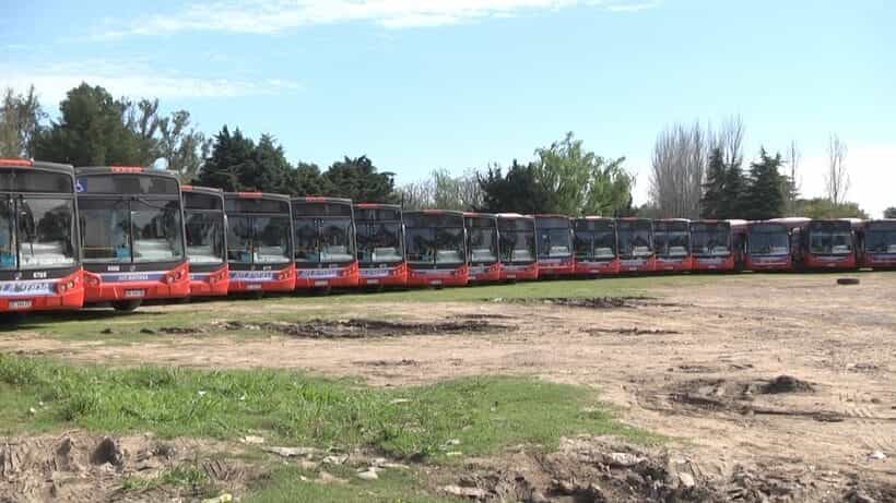 Un chofer de la línea 57 fue herido y se paralizó el servicio